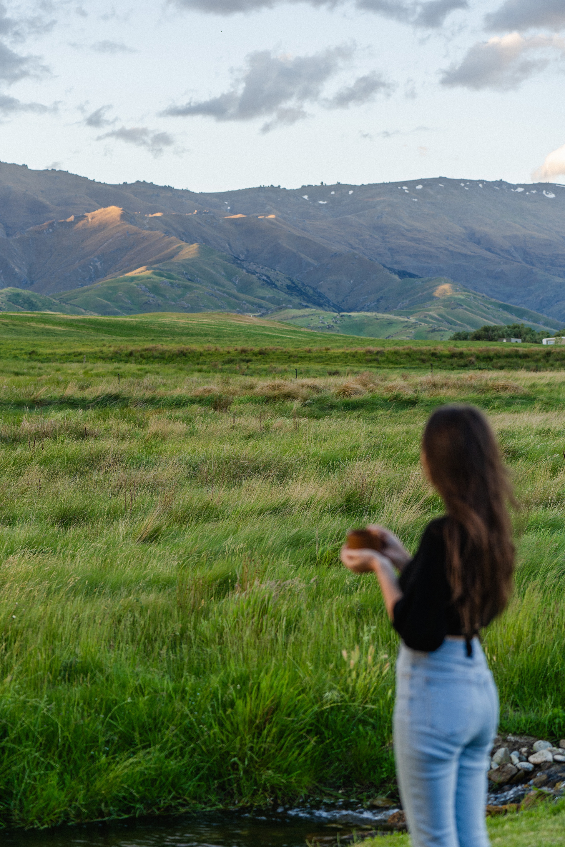Willow Brook, New Zealand