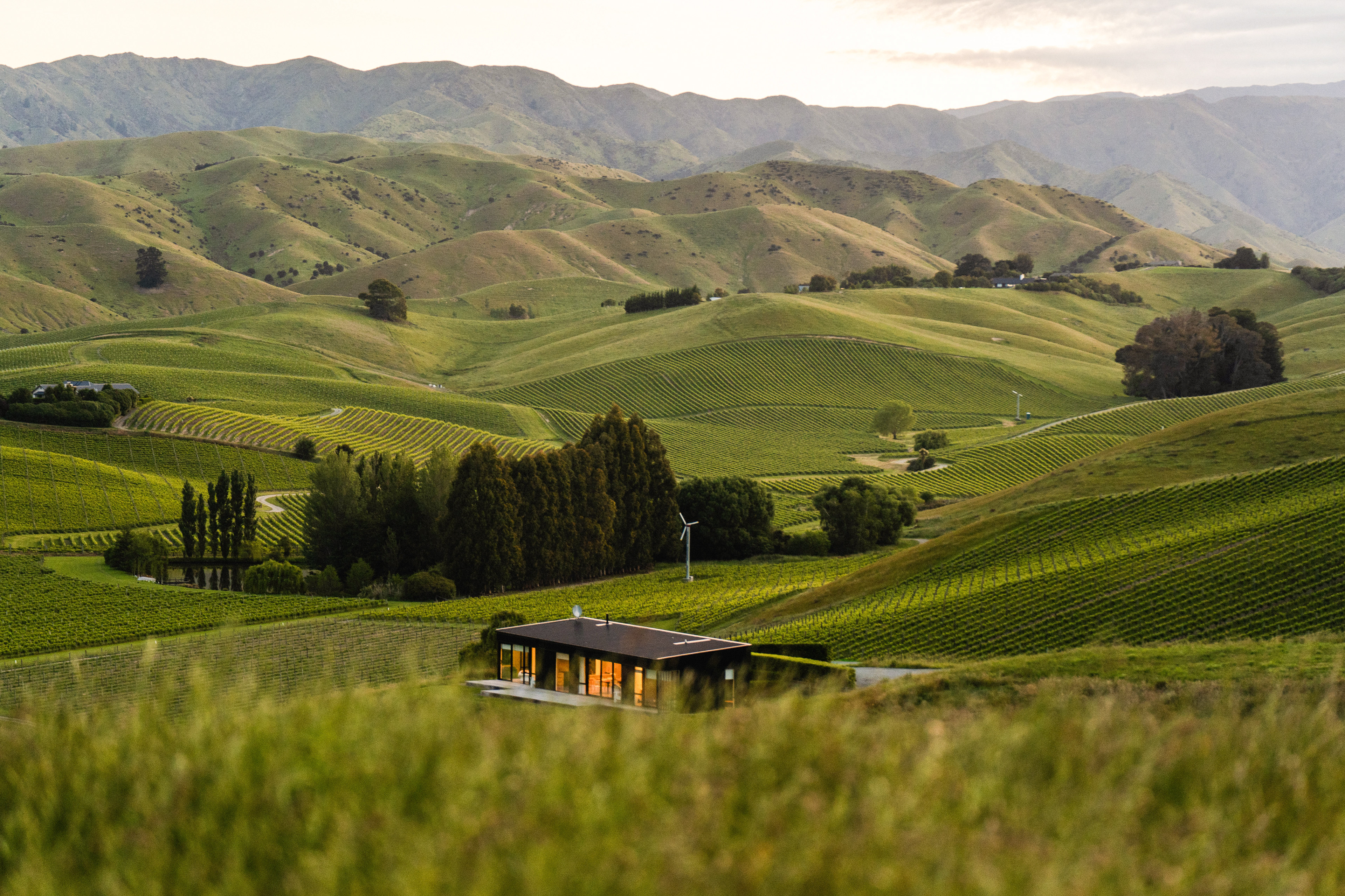 The Nineteenth, New Zealand