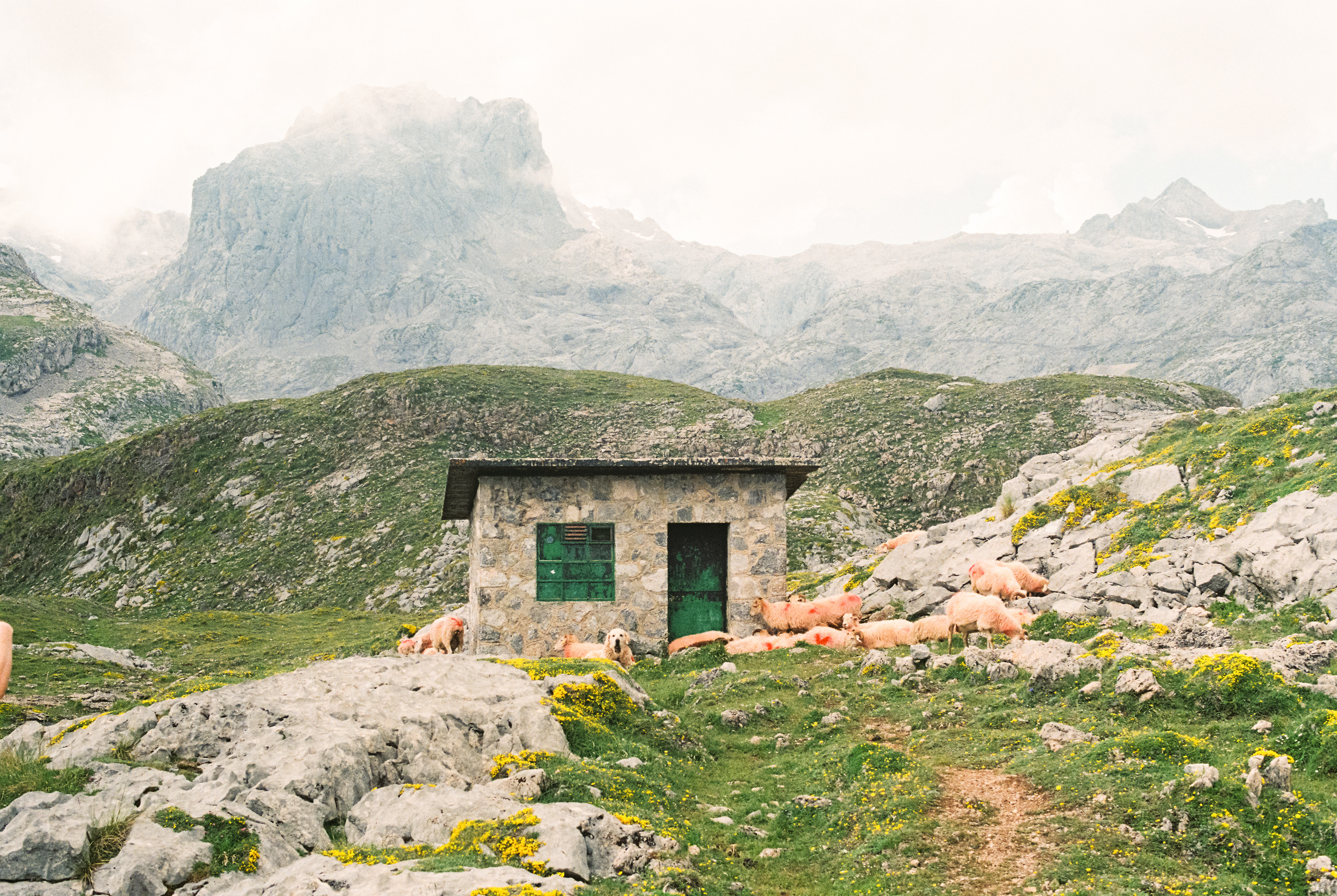 Picos de Europa, North Spain 