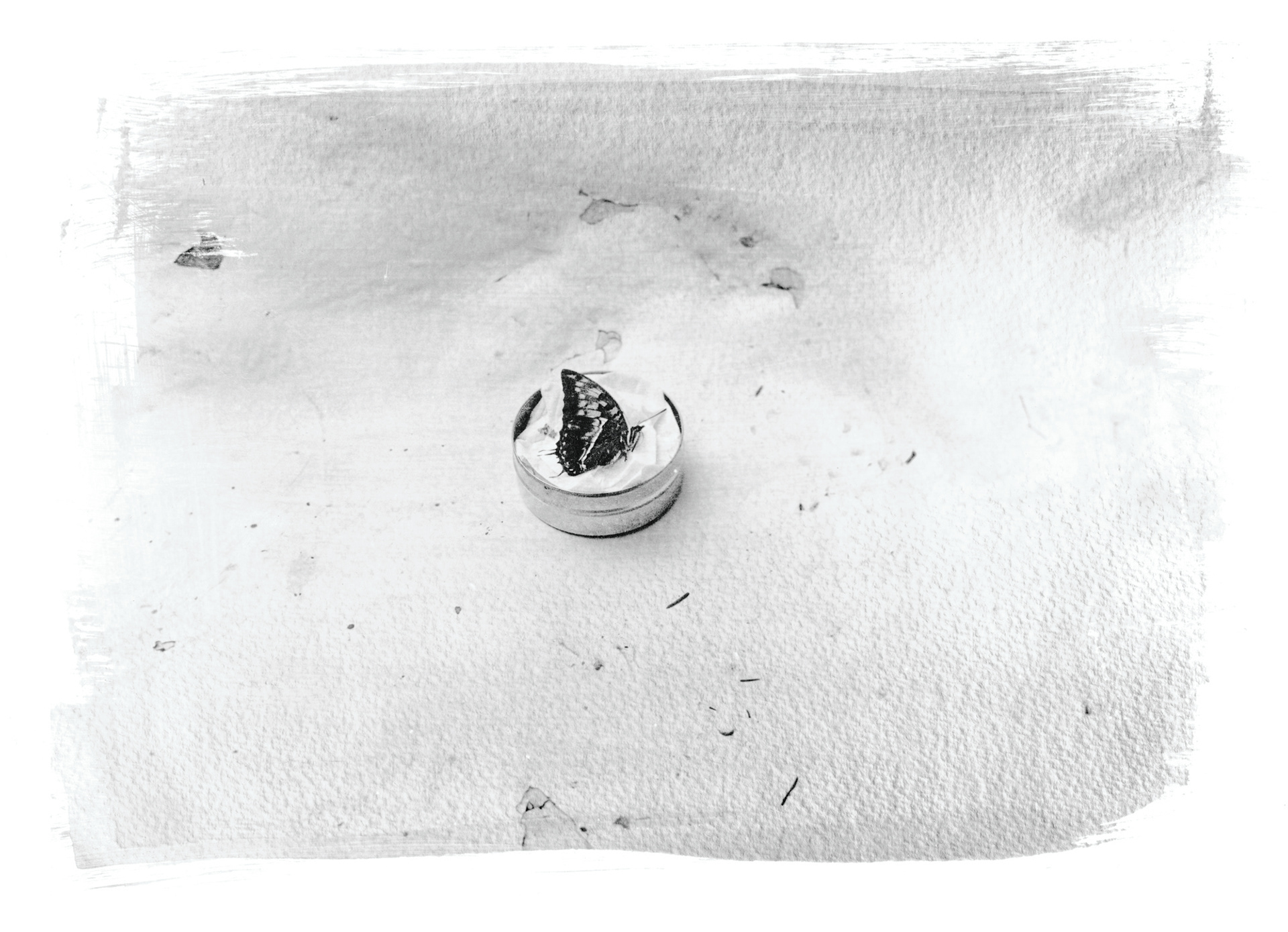 liquid emulsion on watercolor paper