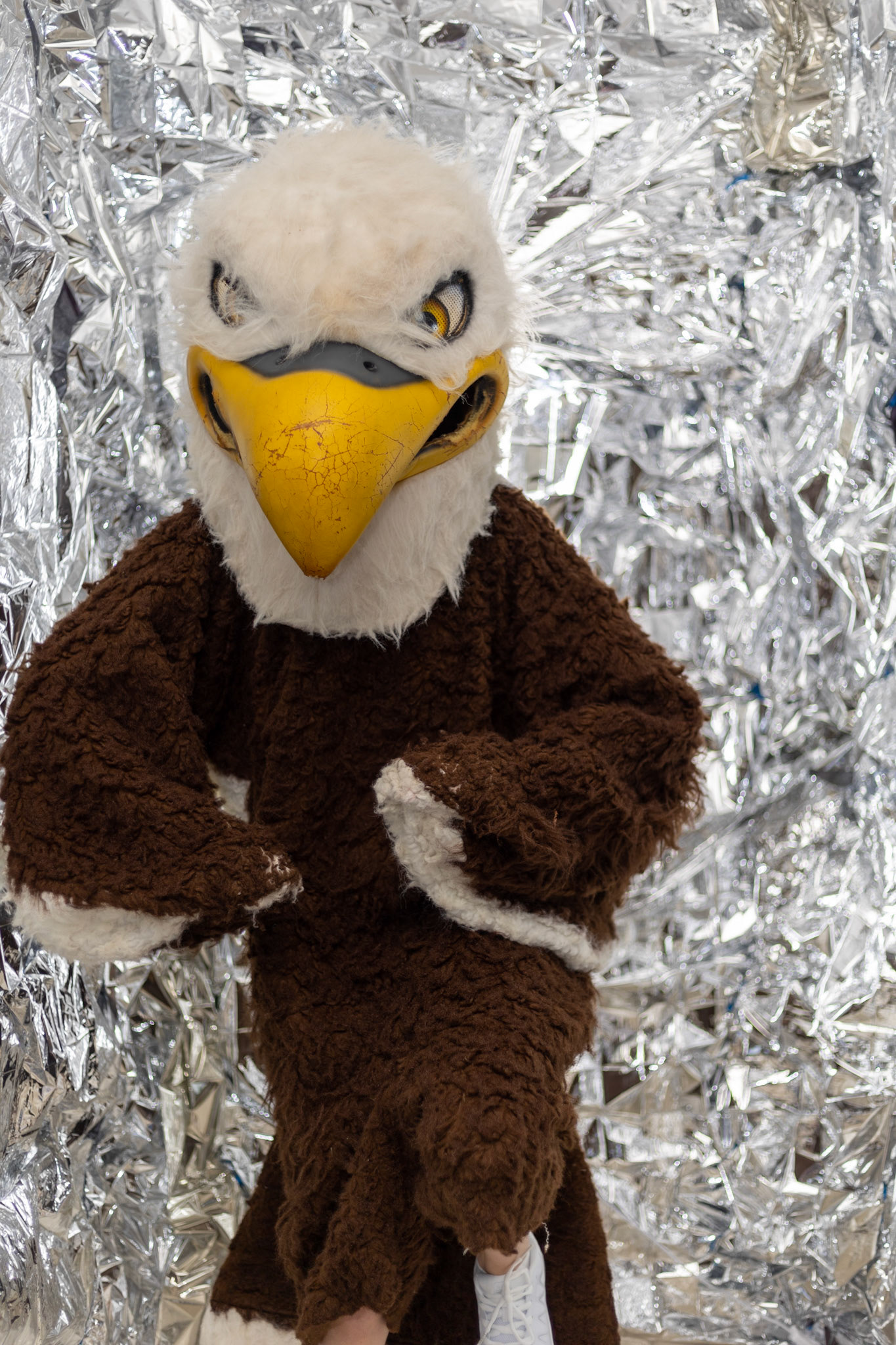 SBA Cheer Media Day 2022 (Ryan Beatty/SBA)