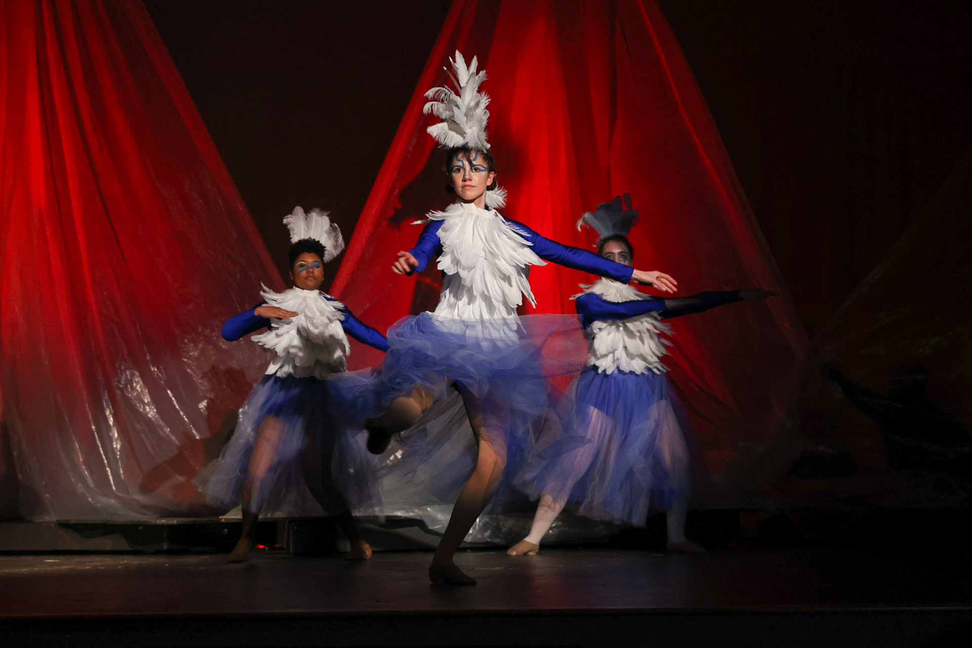 Into the Woods at St. Benedict- Amy Beatty