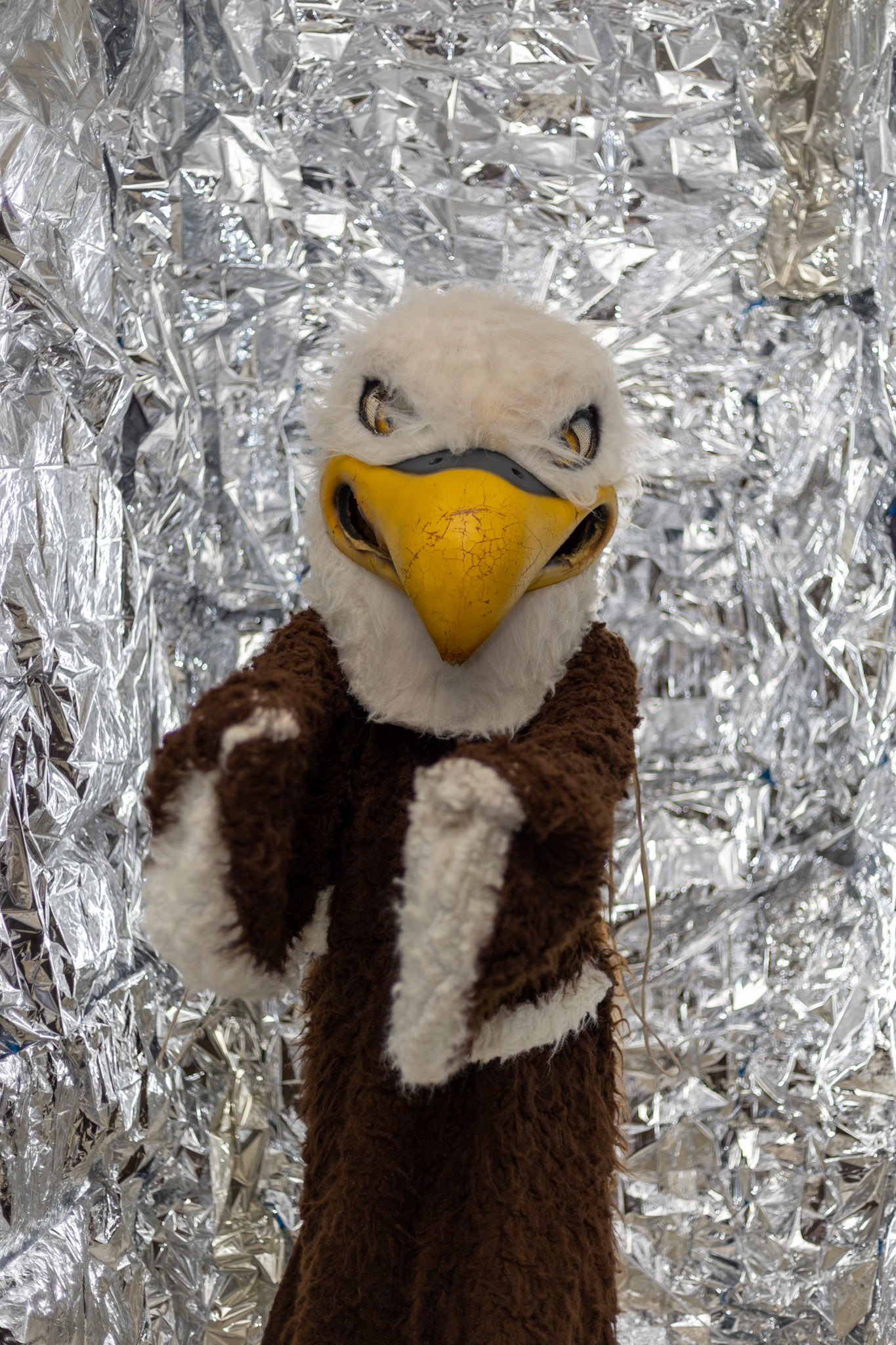 SBA Cheer Media Day 2022 (Ryan Beatty/SBA)