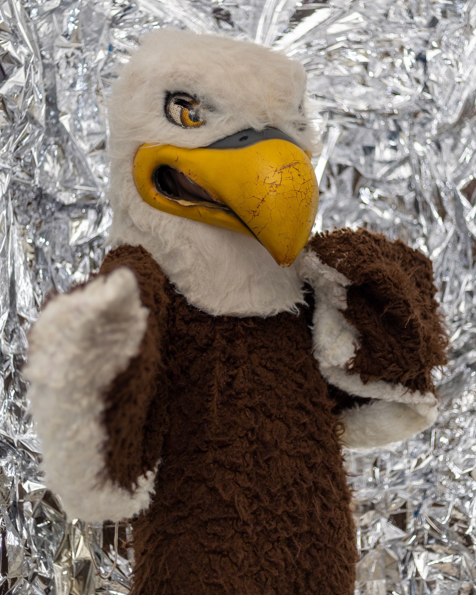 SBA Cheer Media Day 2022 (Ryan Beatty/SBA)