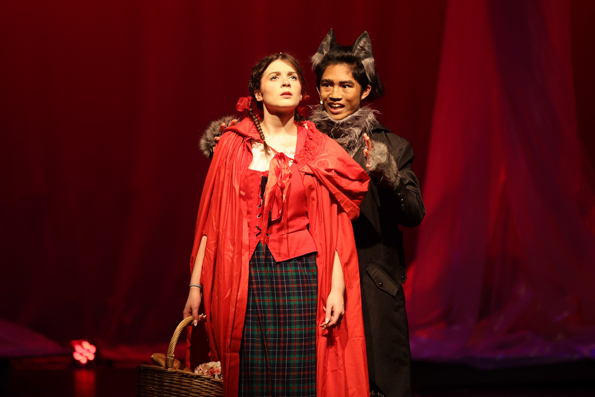 Into the Woods at St. Benedict- Amy Beatty