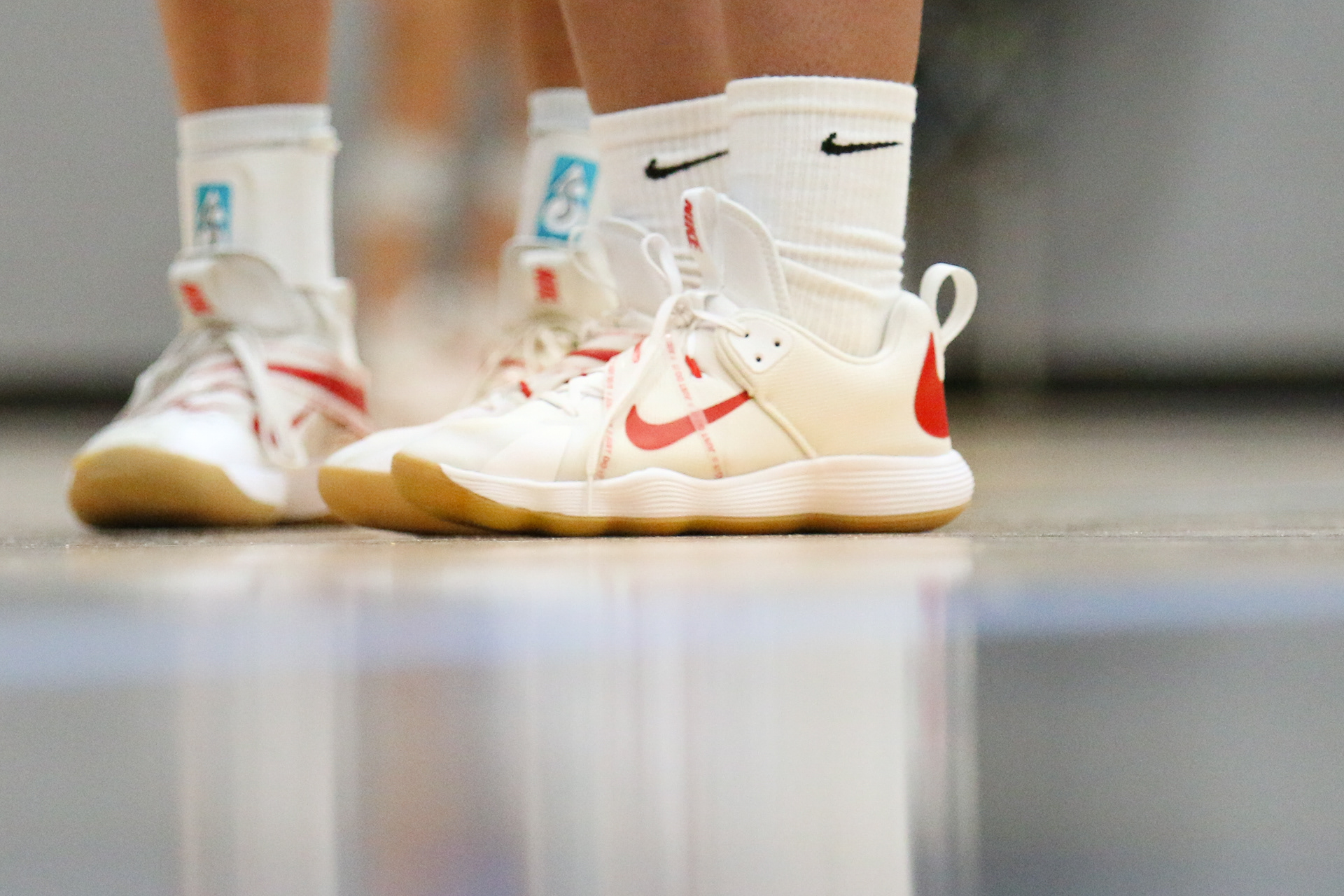 Shoes reflect off of the court.