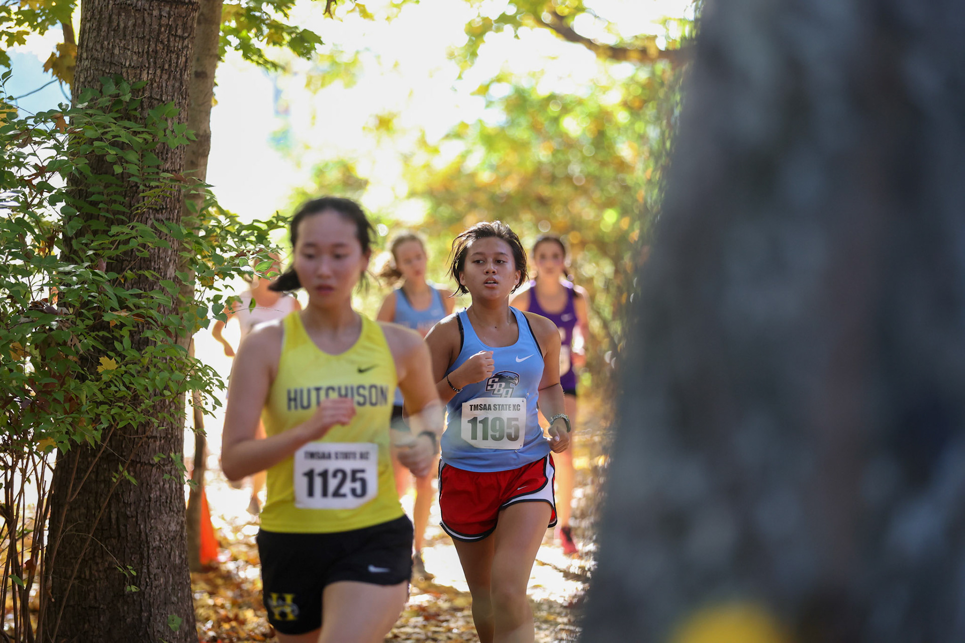 TSSAA Cross Country State Race on Nov. 3rd, 2022 in Hendersonville, TN. (Ryan Beatty/SBA)