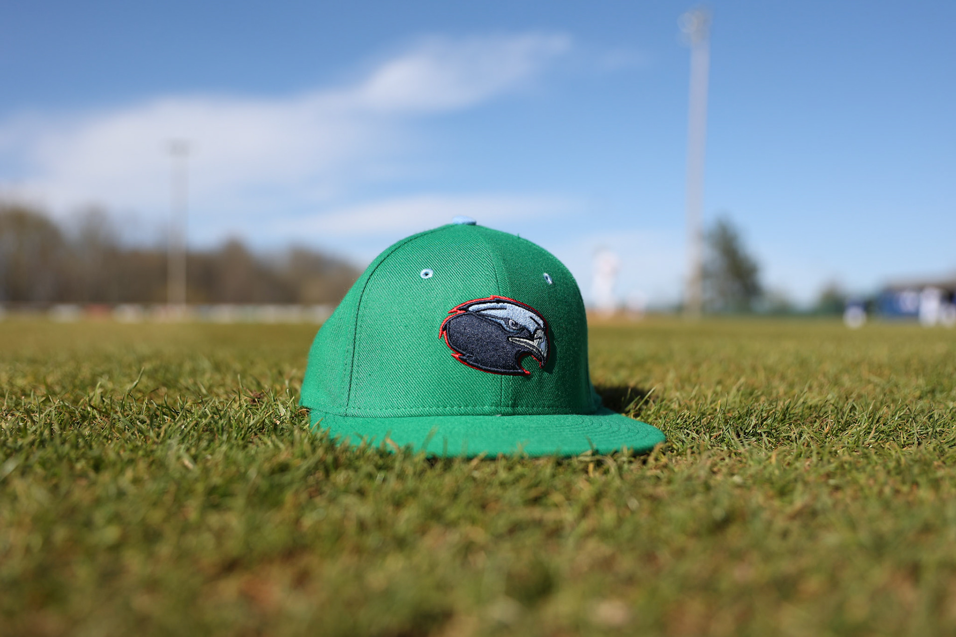 SBA Baseball vs Arab (AL) at Bartlett HS. (Ryan Beatty Photo)
