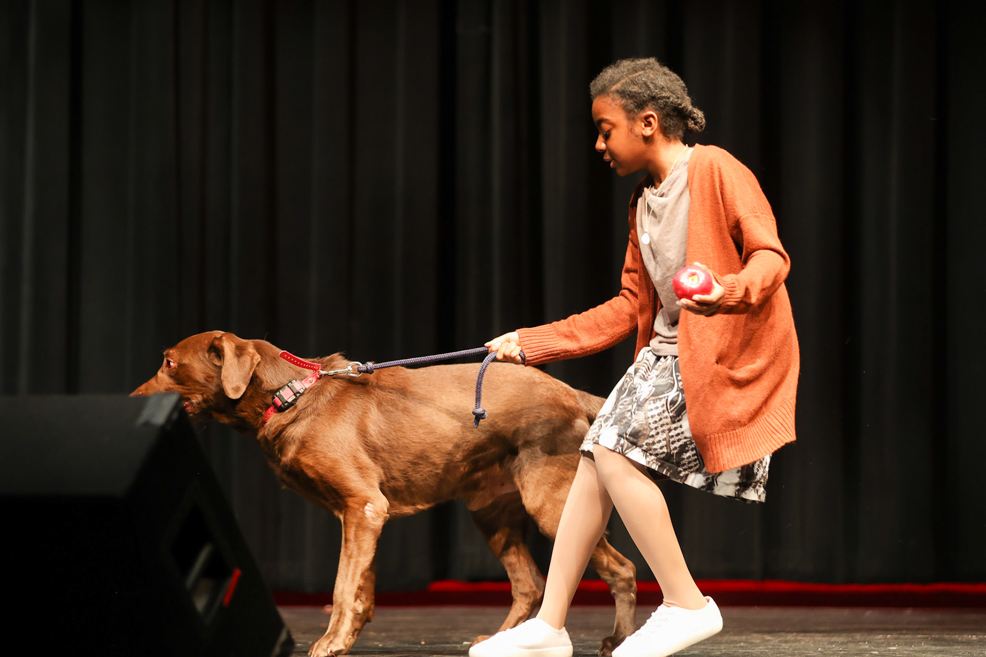 St. Francis’ Annie on Wednesday, March 29th 2023. (Ryan Beatty Photo)