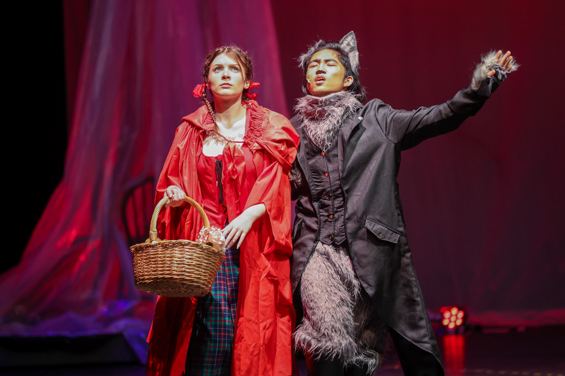 Into the Woods at St. Benedict- Amy Beatty