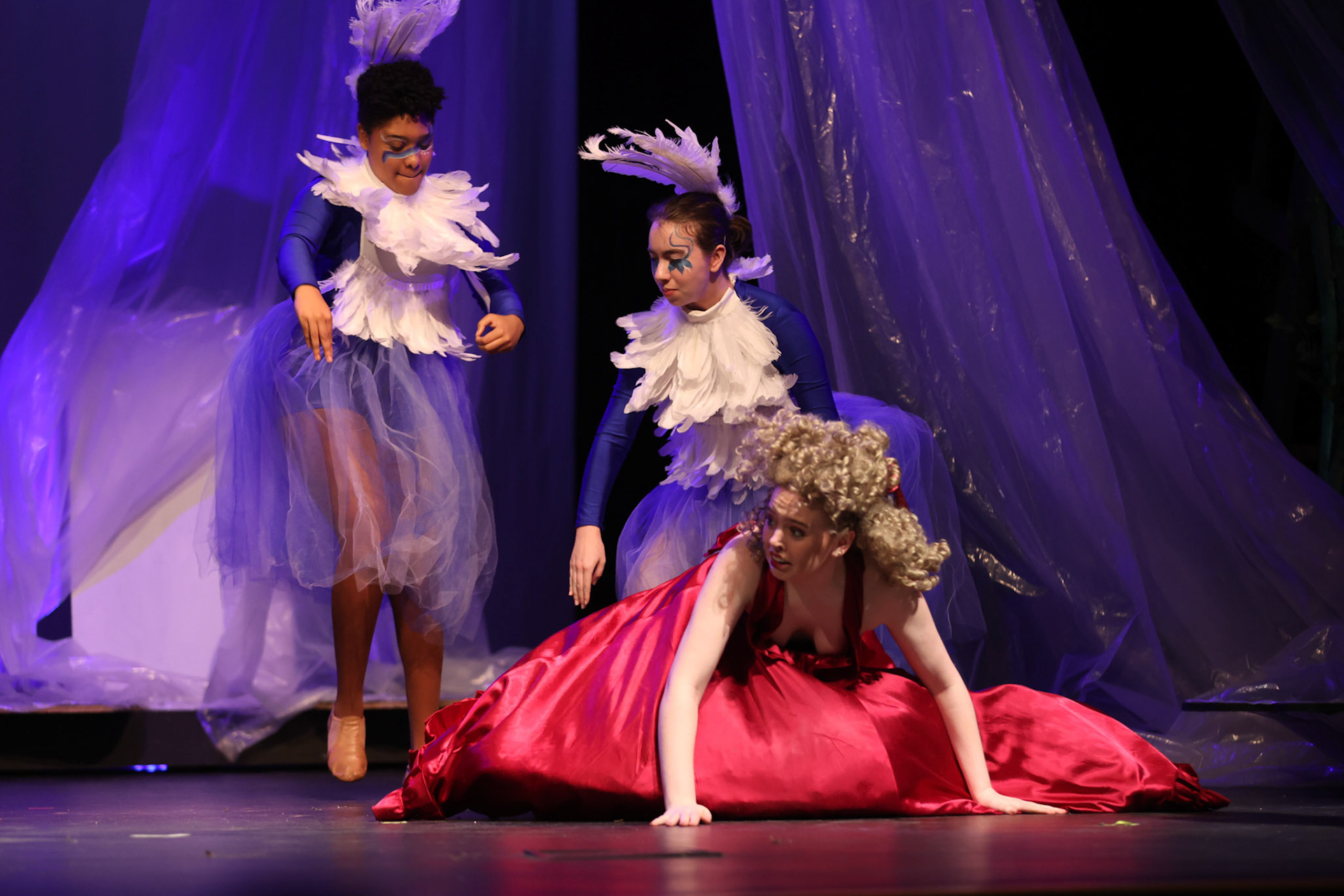 Into the Woods at St. Benedict- Amy Beatty