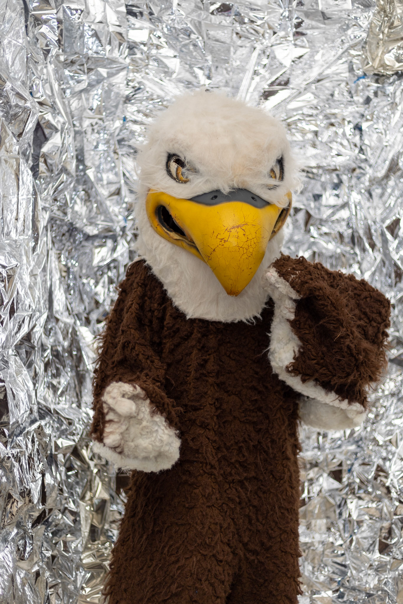 SBA Cheer Media Day 2022 (Ryan Beatty/SBA)