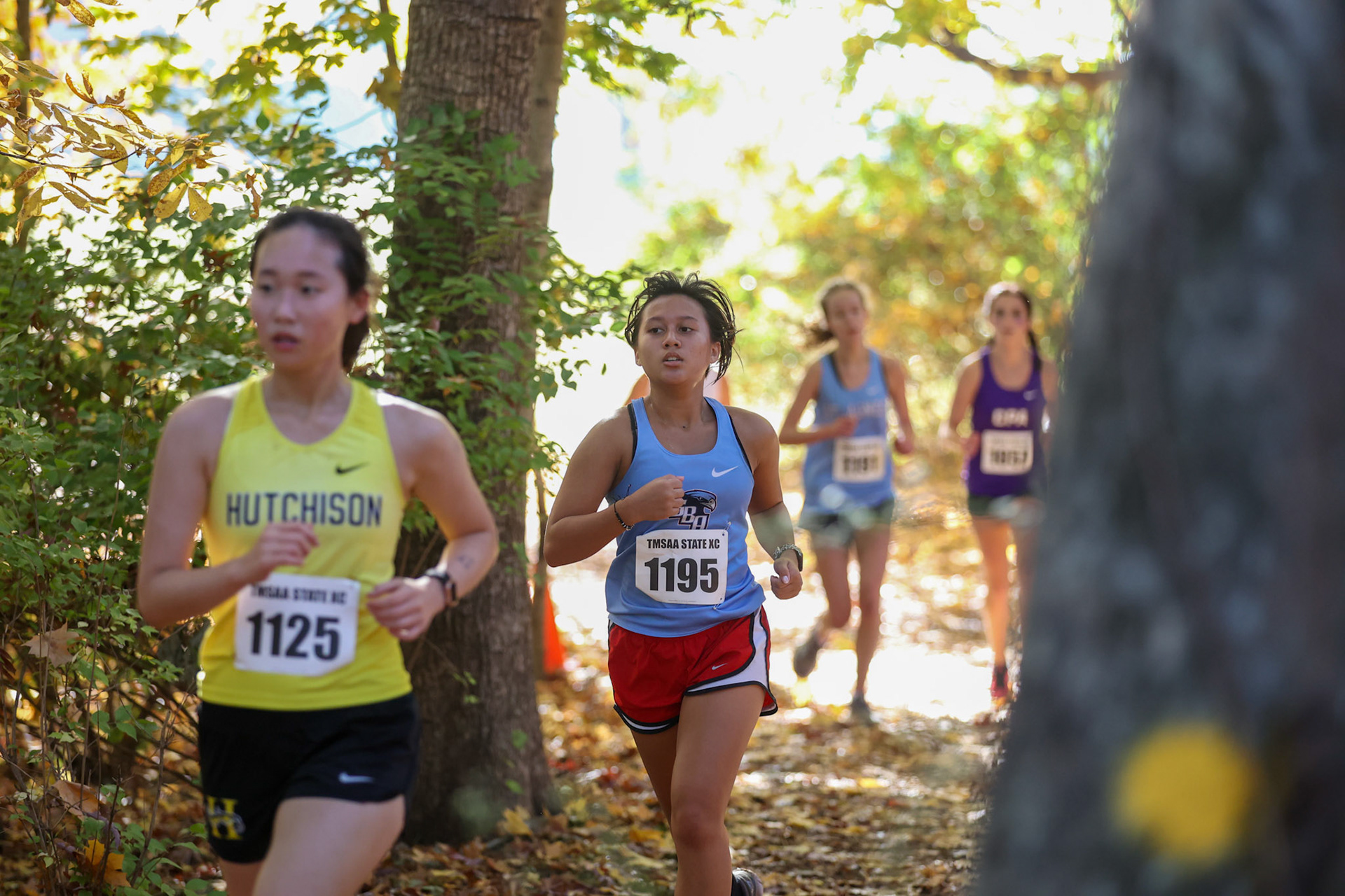 TSSAA Cross Country State Race on Nov. 3rd, 2022 in Hendersonville, TN. (Ryan Beatty/SBA)