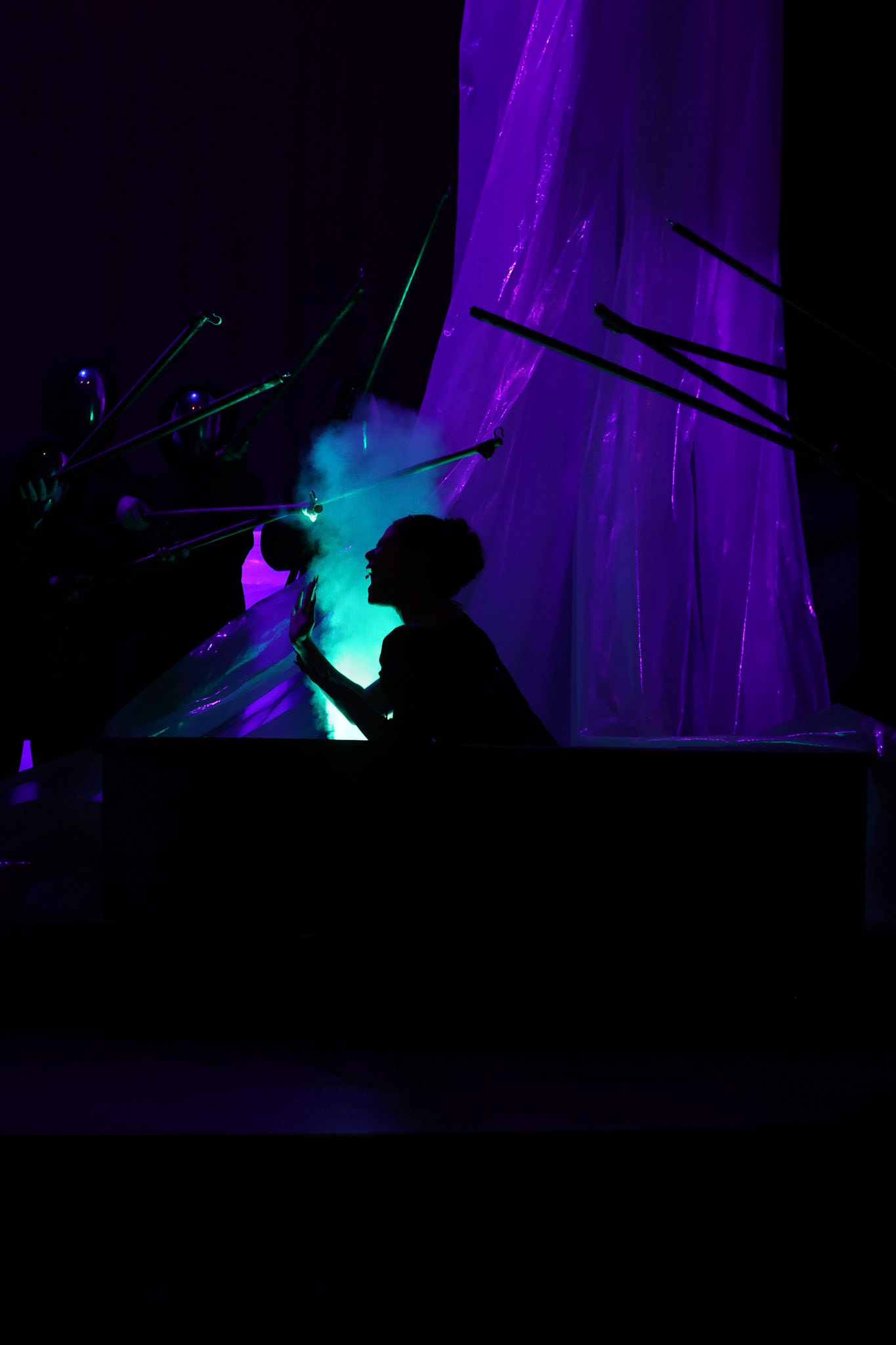 Into the Woods at St. Benedict- Amy Beatty