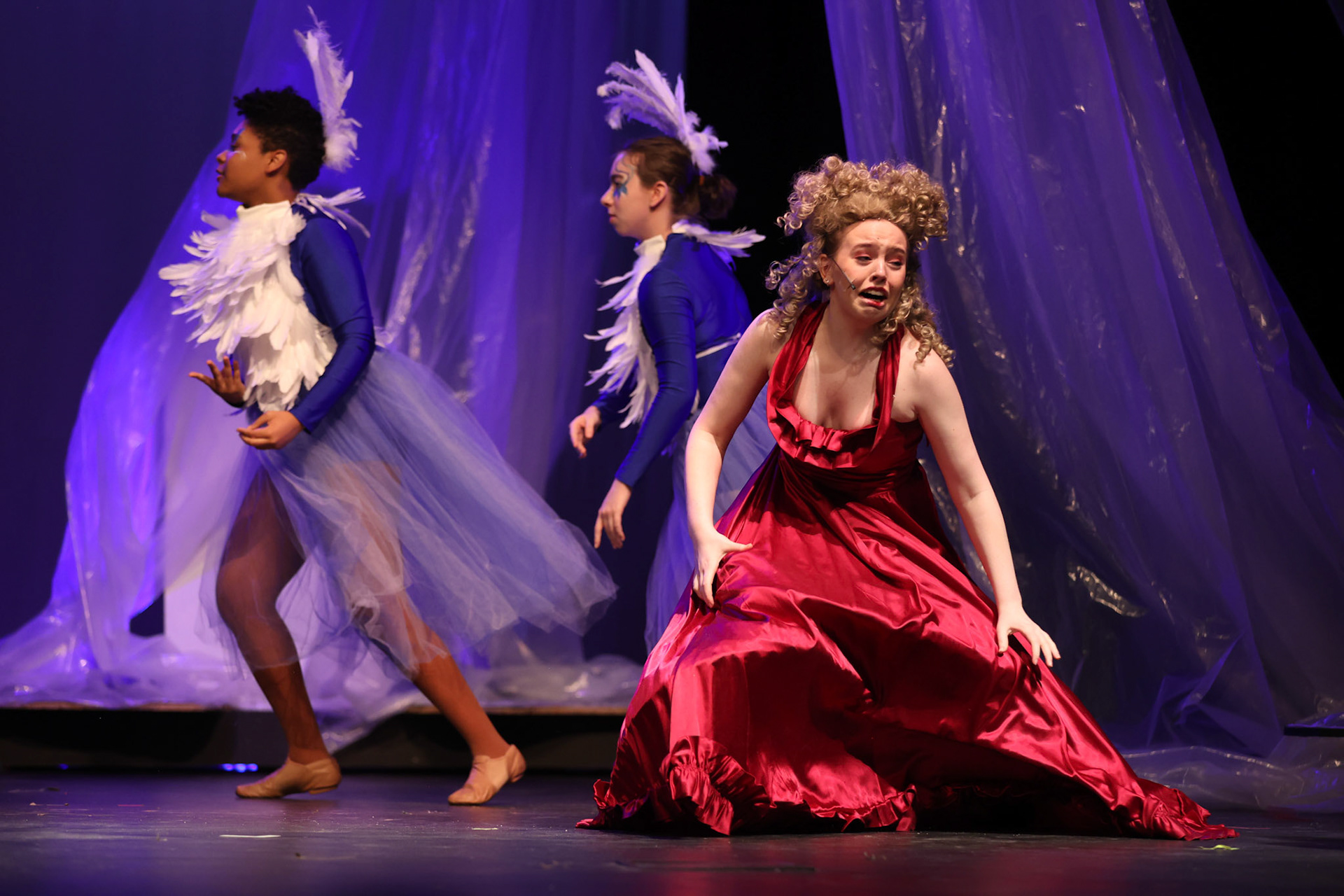 Into the Woods at St. Benedict- Amy Beatty