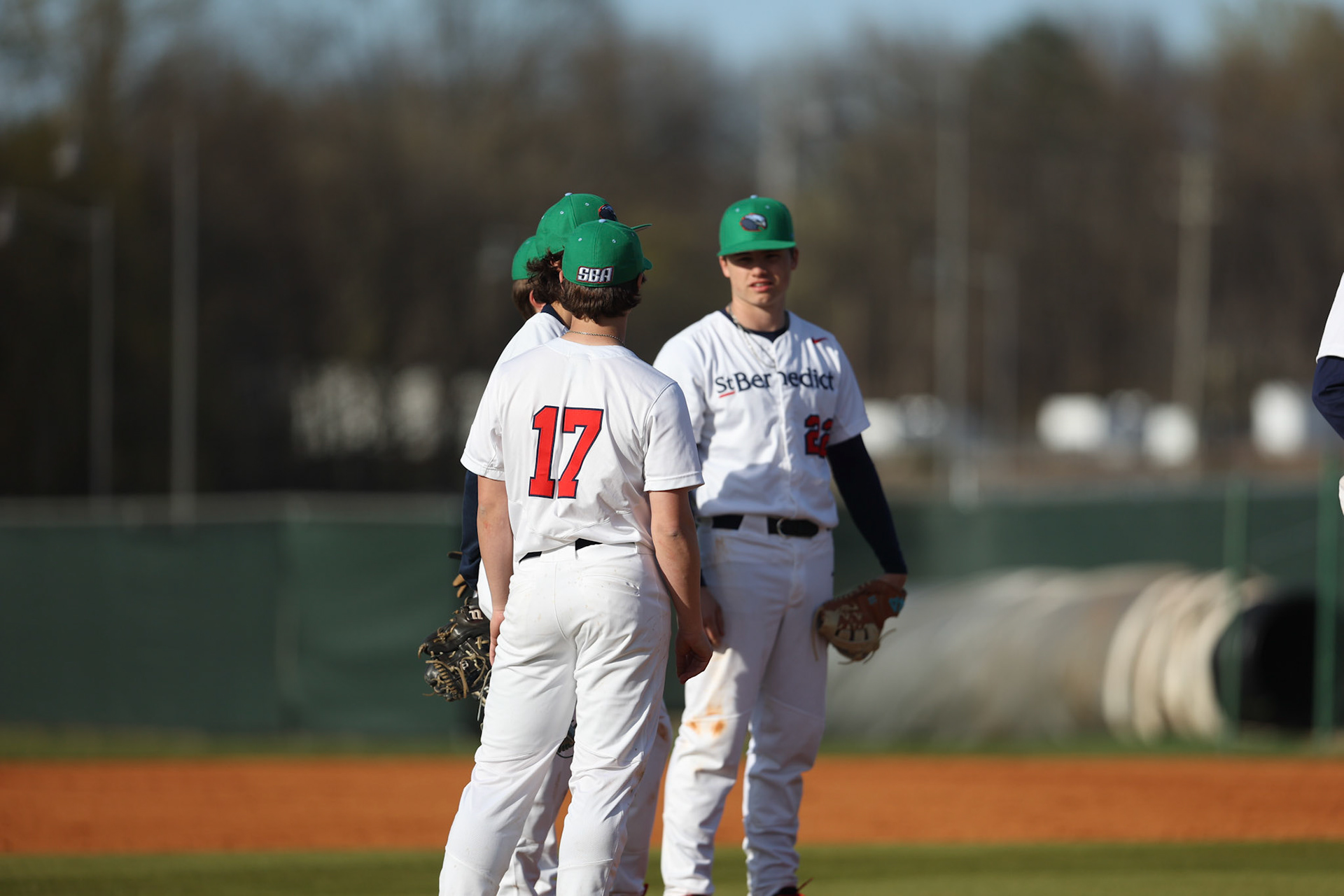 SBA Baseball vs Arab (AL) at Bartlett HS. (Ryan Beatty Photo)
