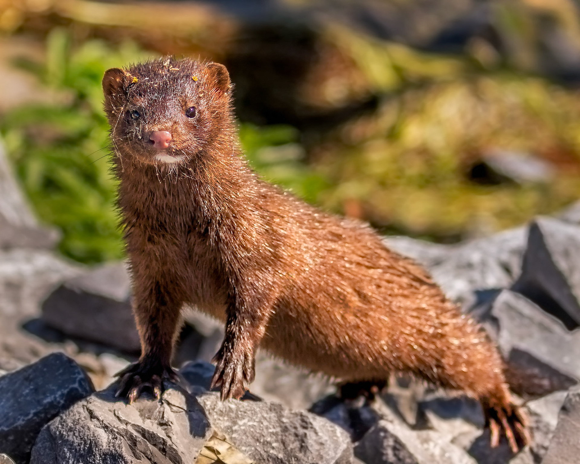 VIENS JOUER AVEC MOI