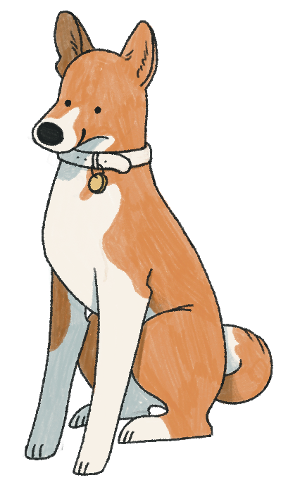 Basenji