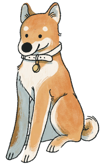 Shiba Inu