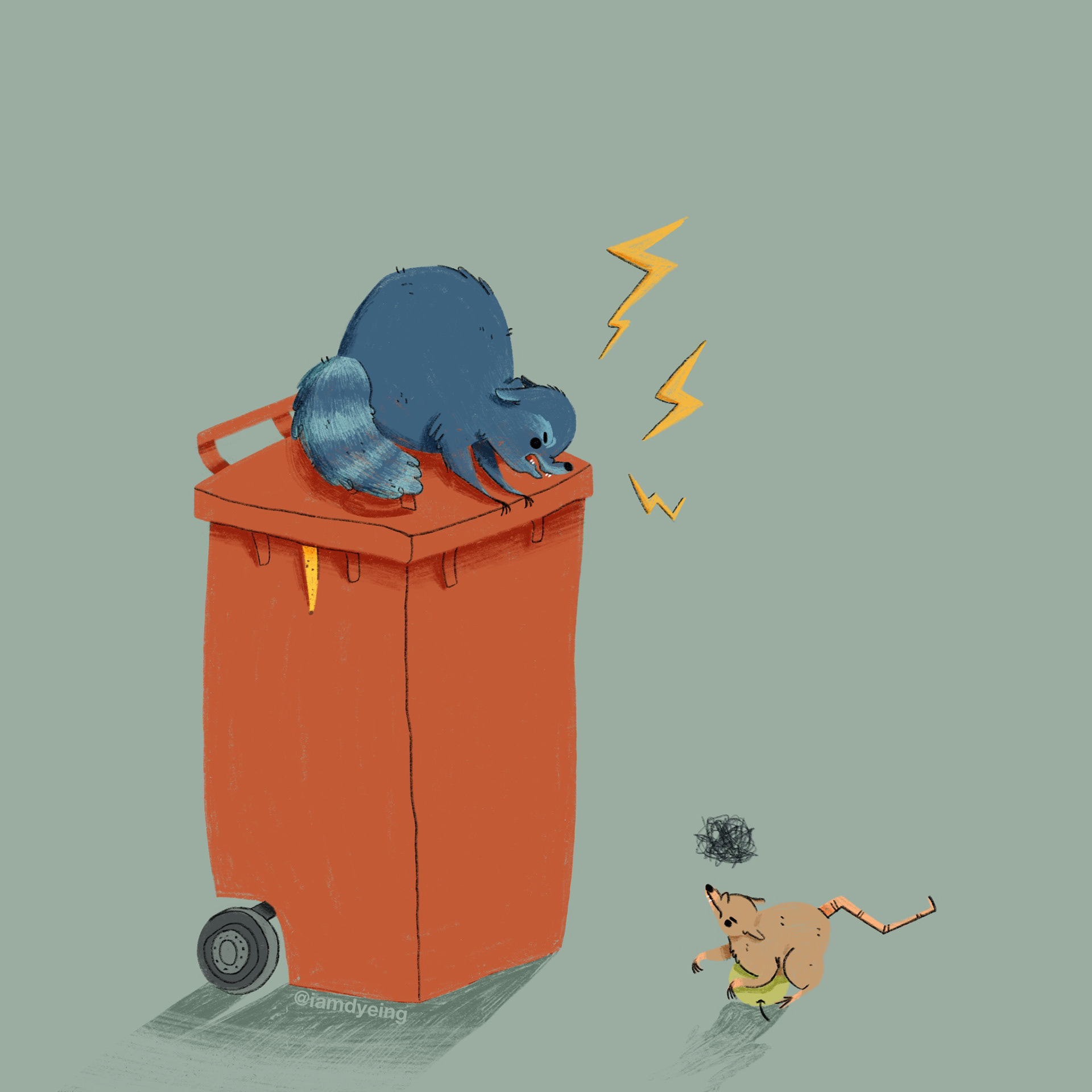 Tag 2 // RACCOON