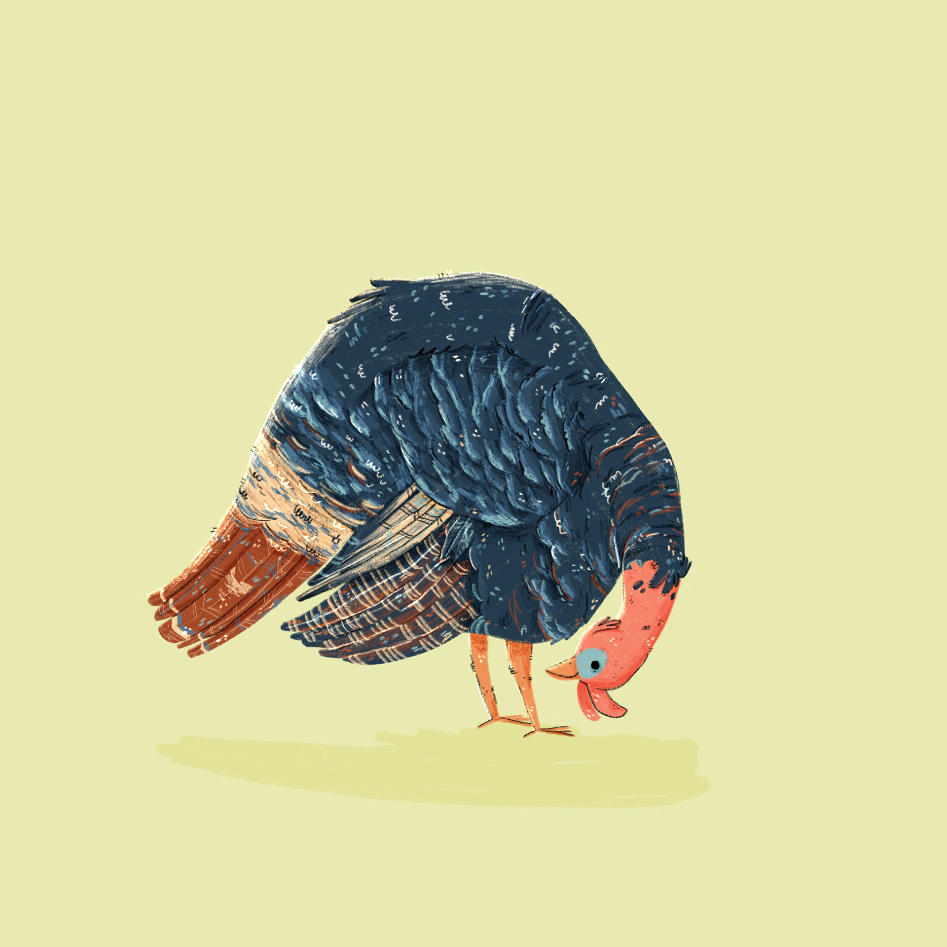 Tag 20 // PIE