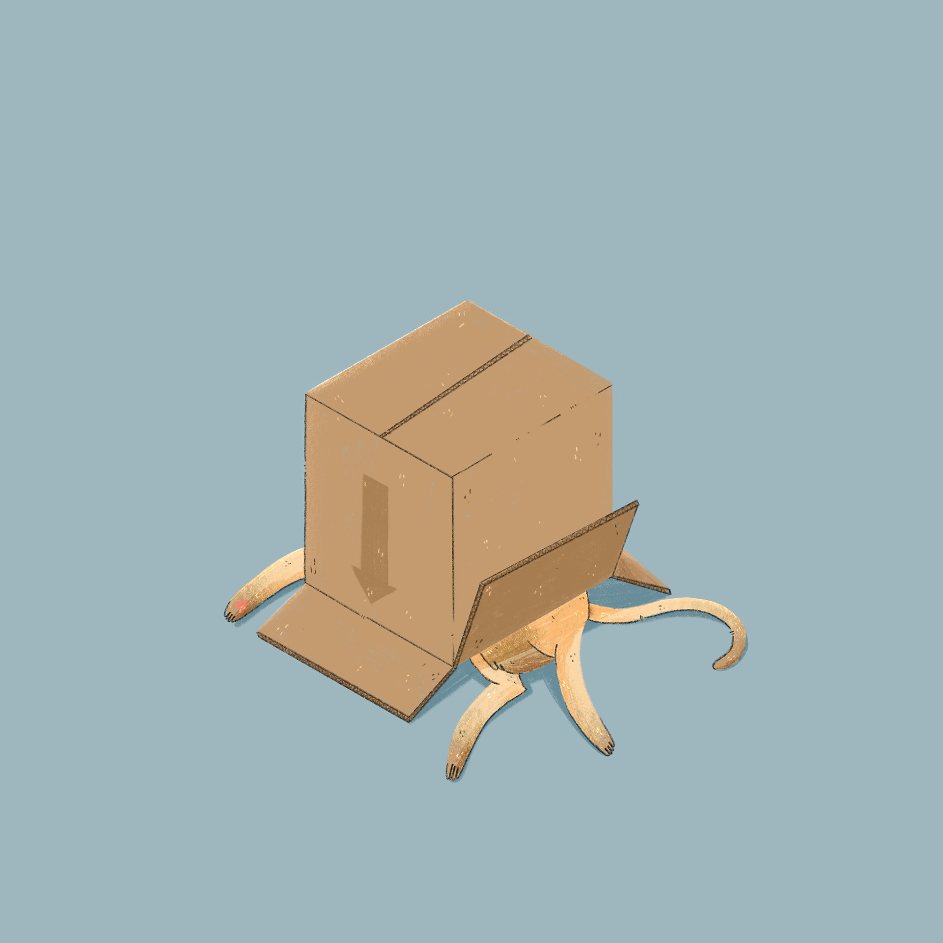 Tag 24 // CARTON