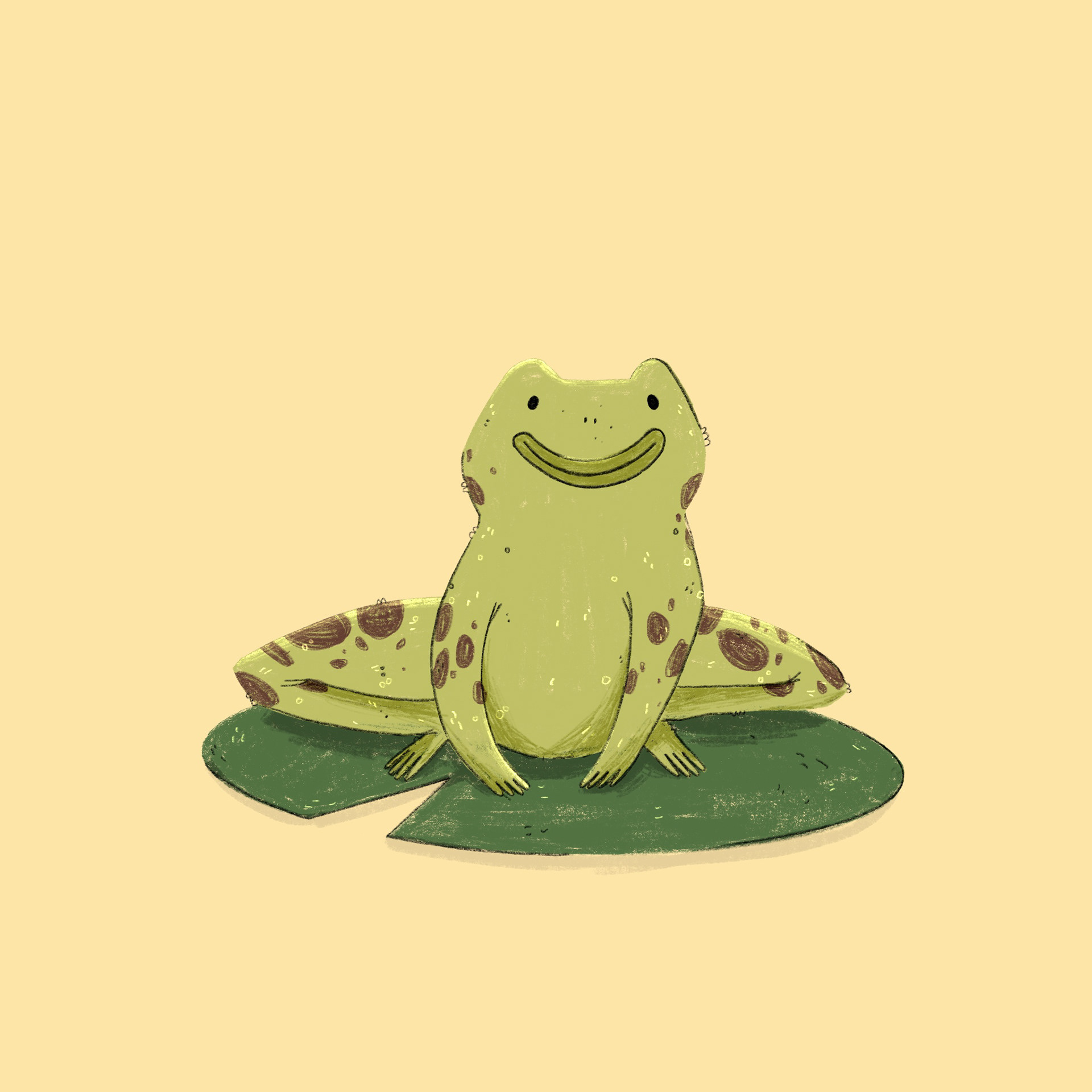 Tag 17 // LILYPAD