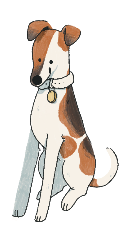 Fox Terrier