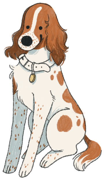 Spaniel