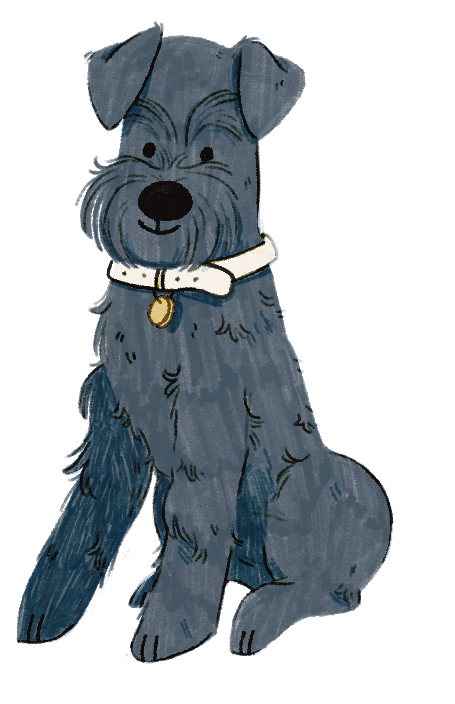 Schnauzer