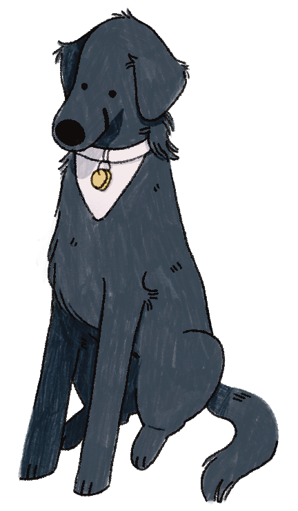 Flat Coated Retriever