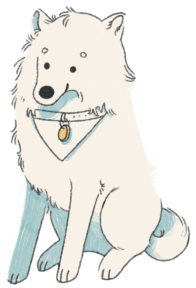 Spitz