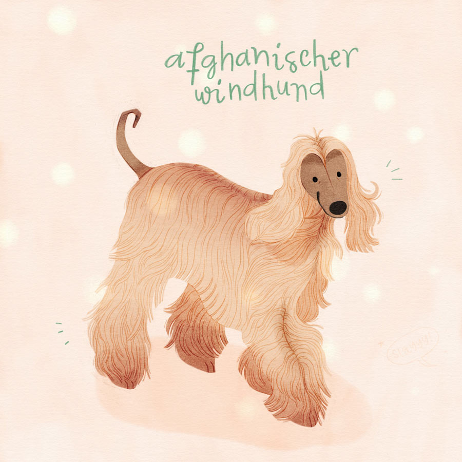 26 / Afghanischer Windhund