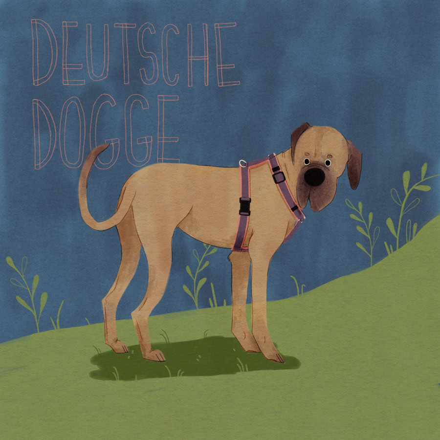 6 / Deutsche Dogge