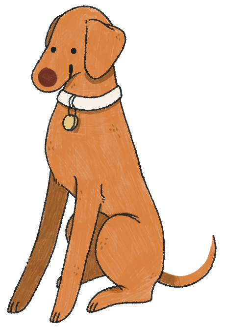 Magyar Vizsla