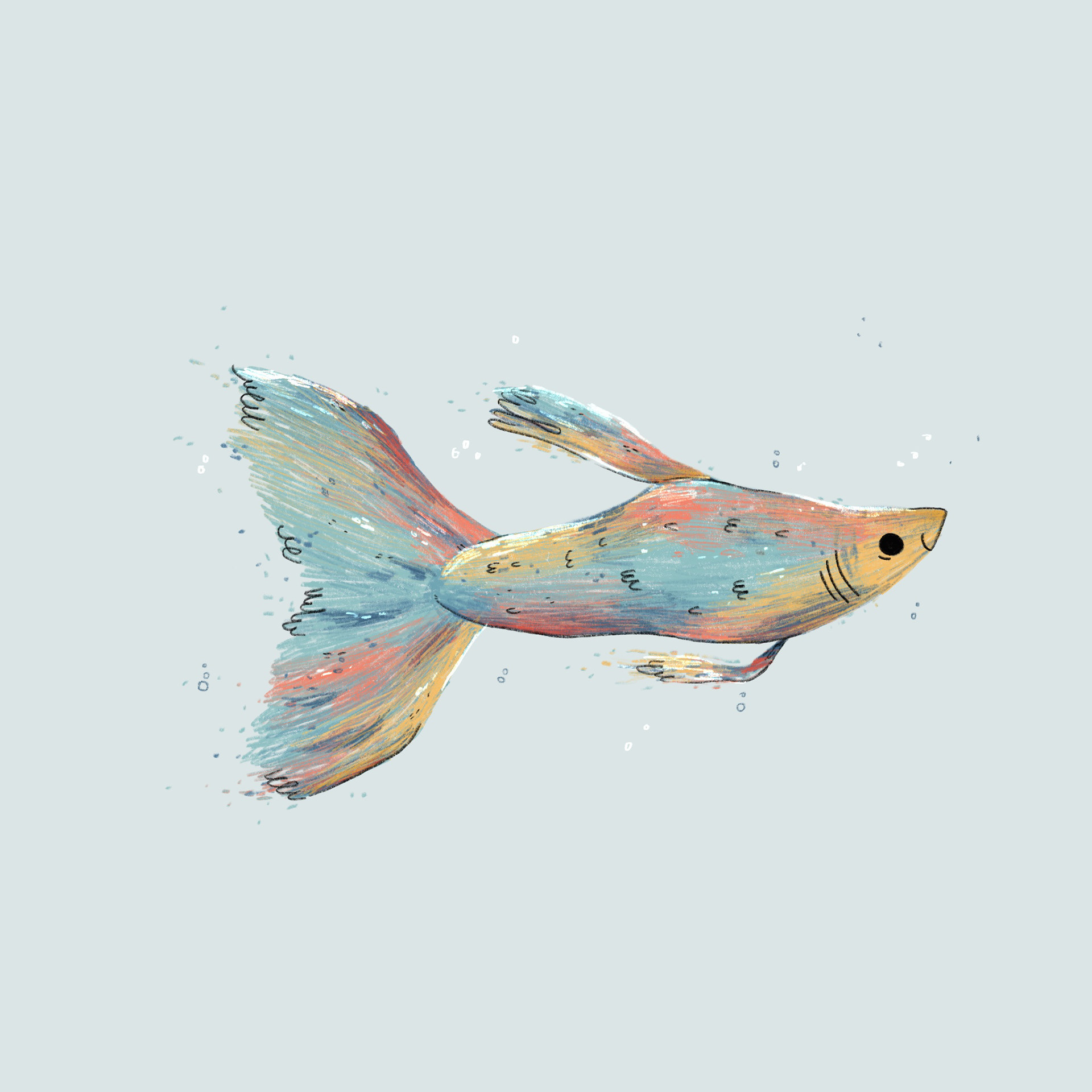 Tag 4 // FISH