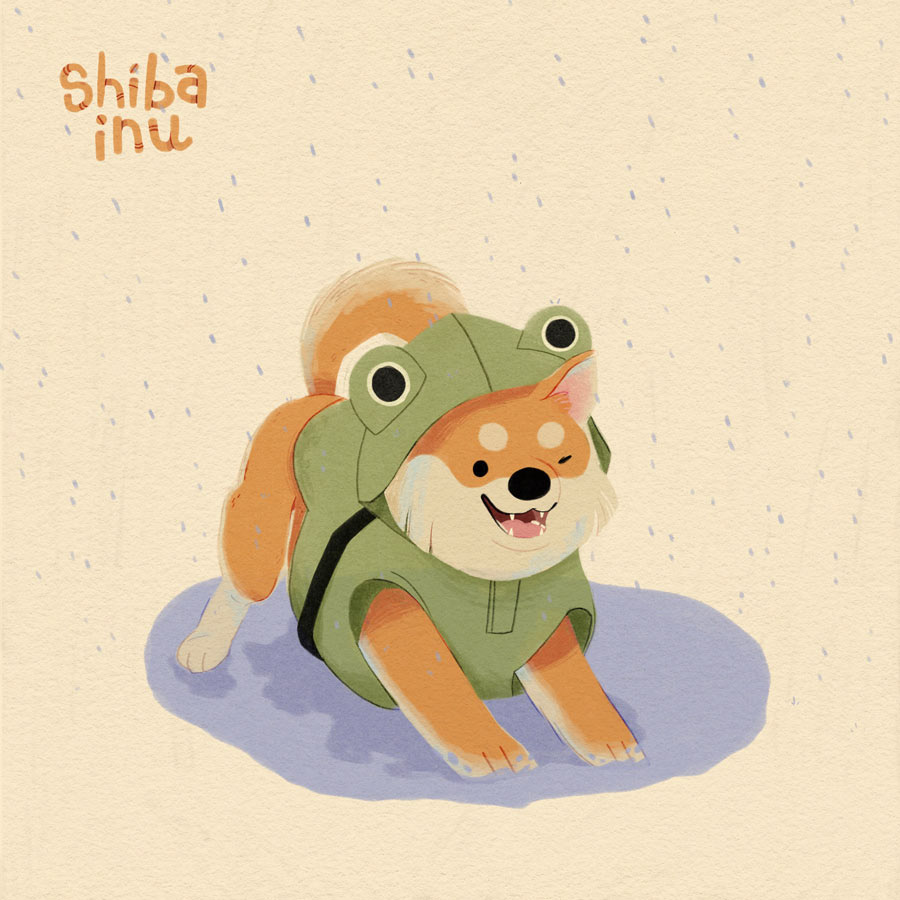 5 / Shiba Inu