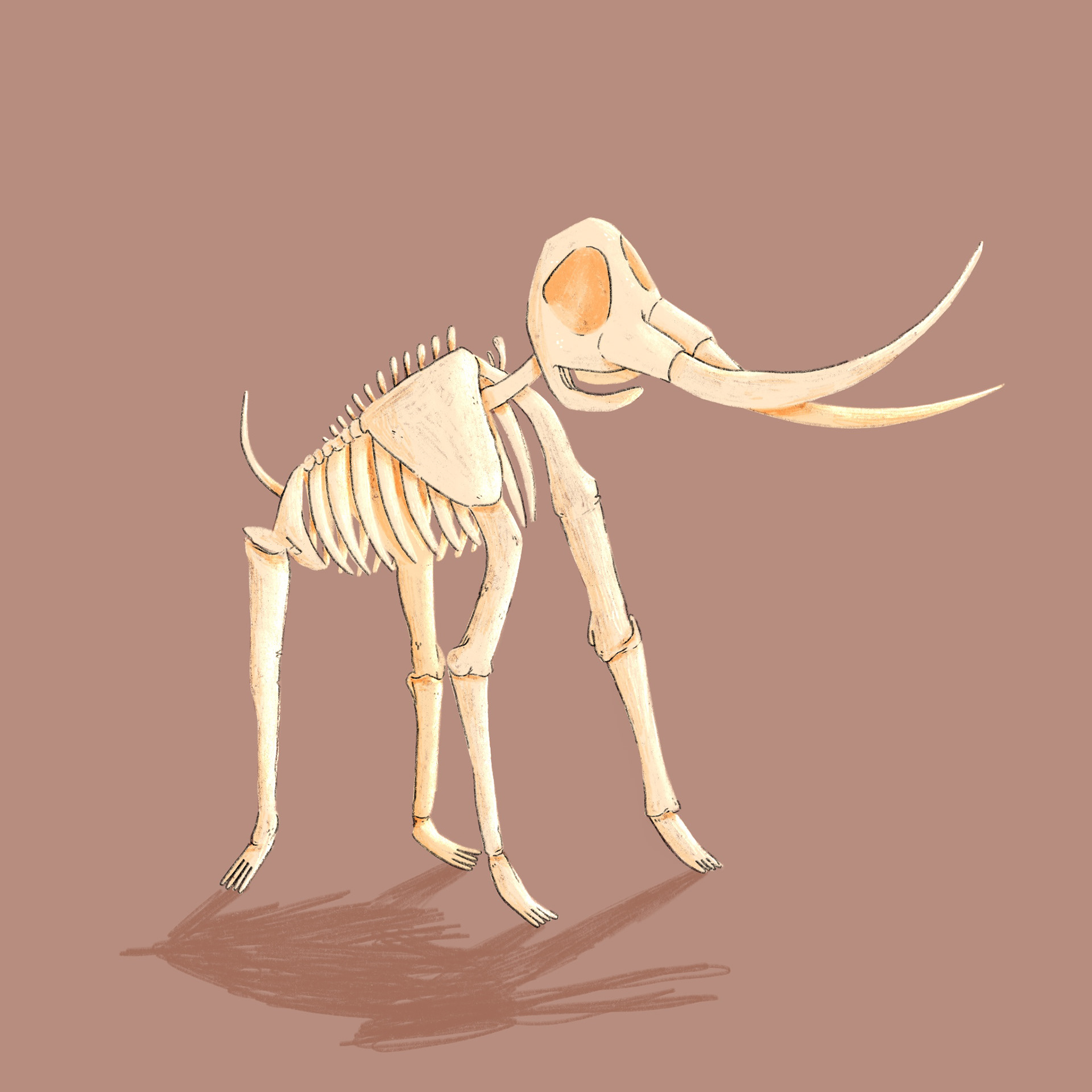 Tag 29 // FOSSIL