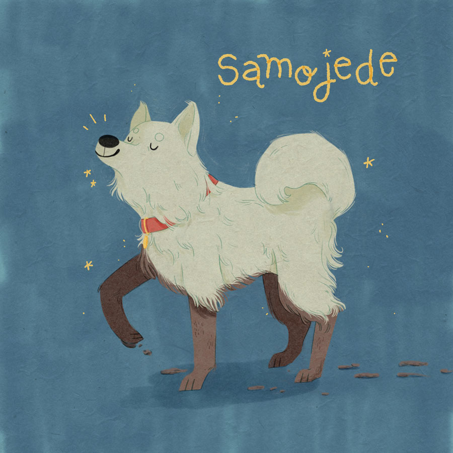 22 / Samojede