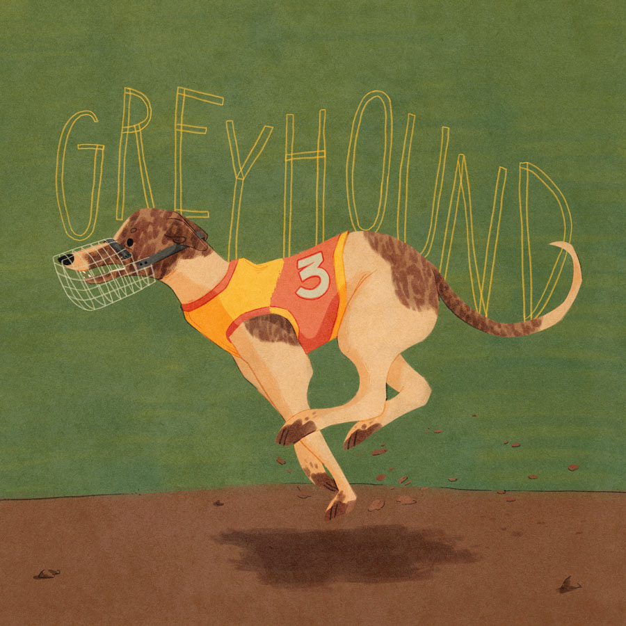 11 / Greyhound