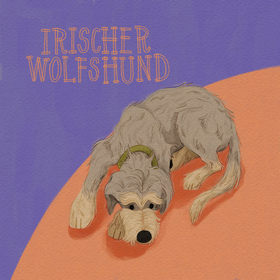 28 / Irischer Wolfshund