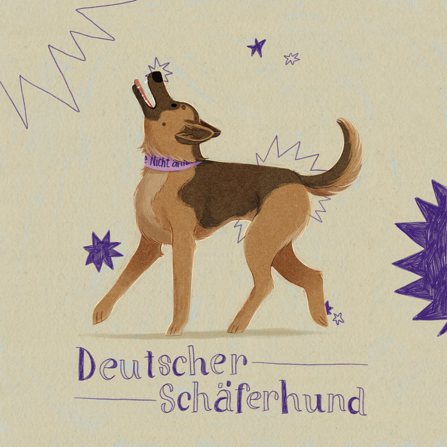 27 / Deutscher Schäferhund