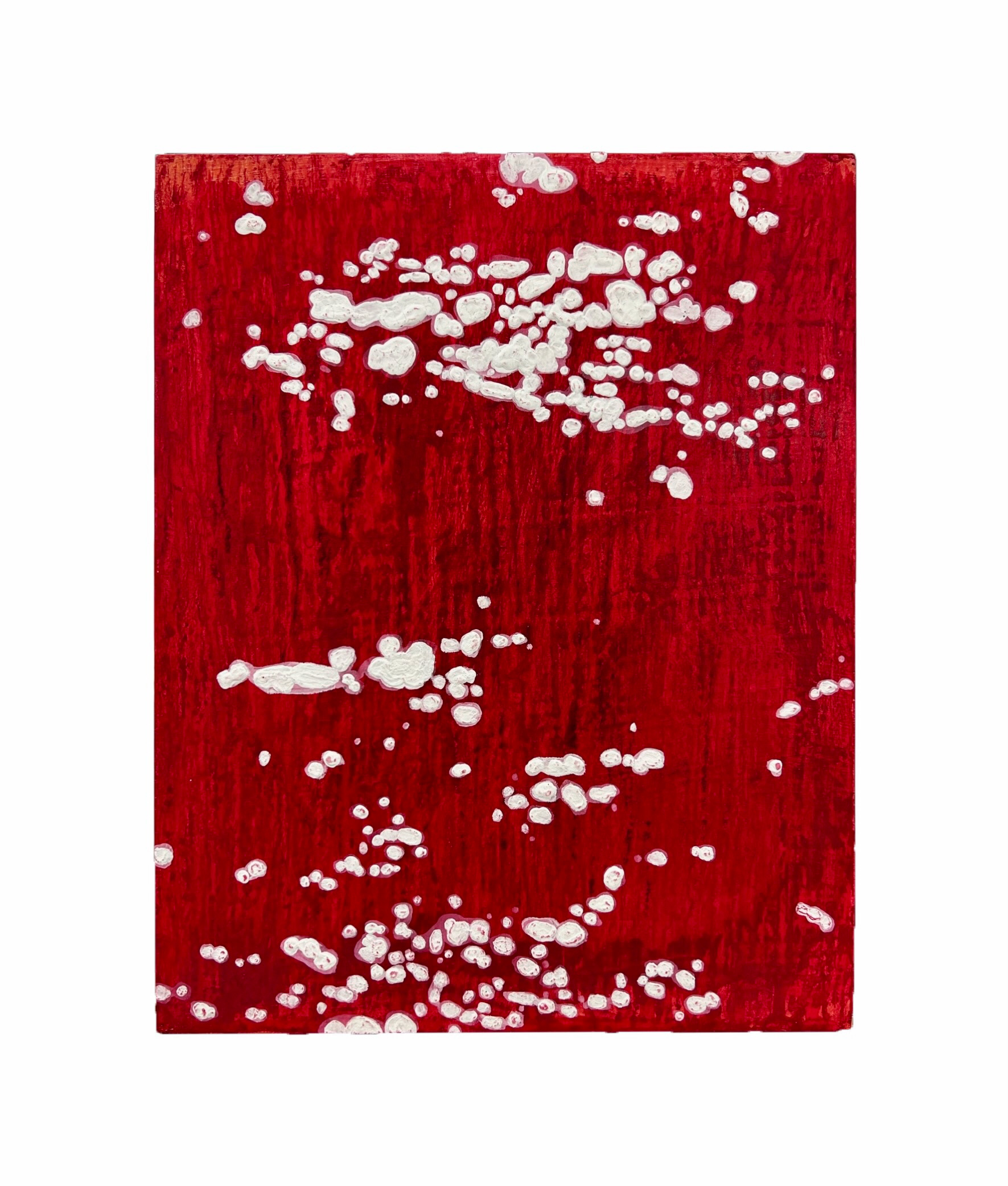 Glint on Red, 2023, Acrylic, watercolor pencil, white pigment on board, 10" x 8"