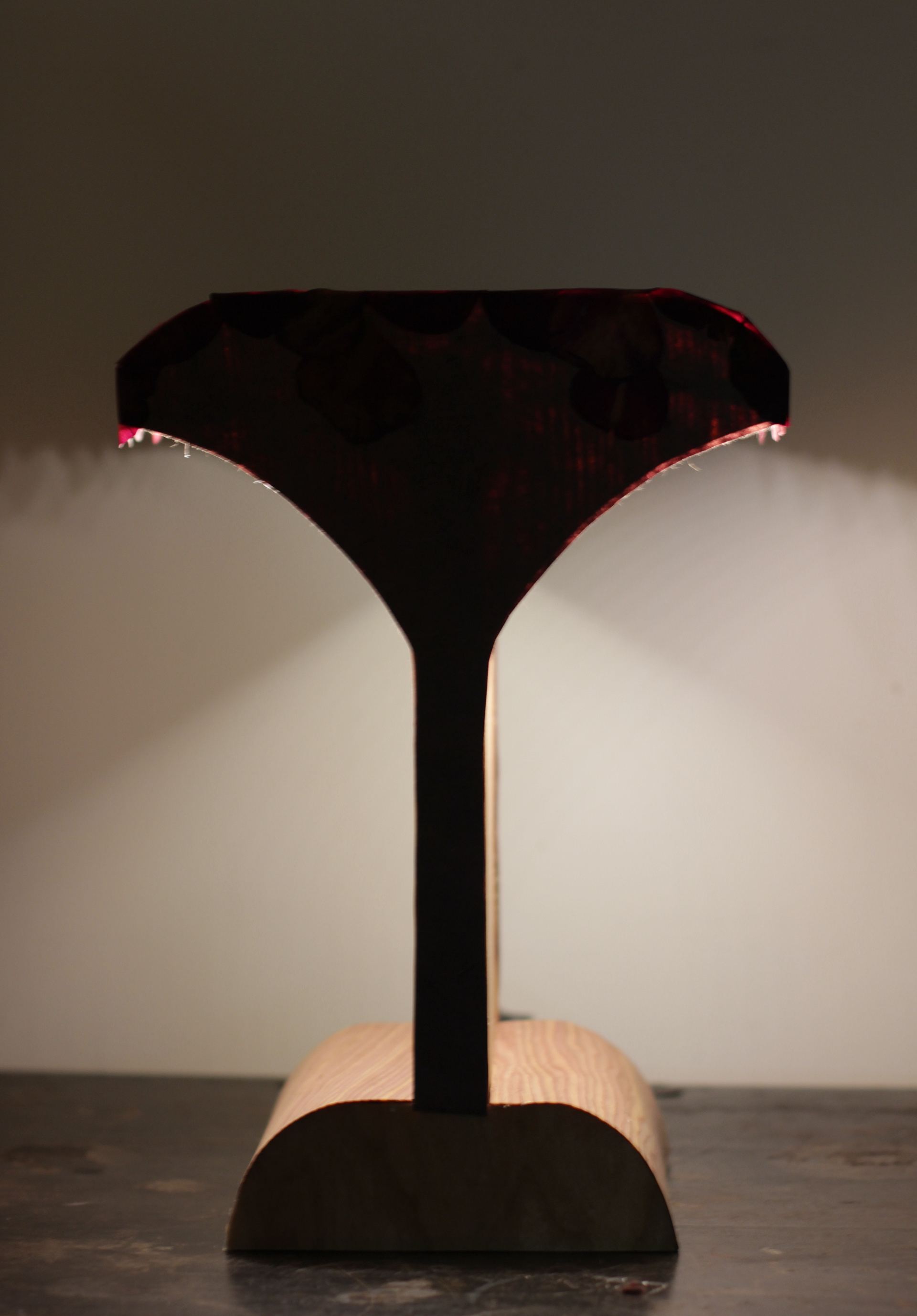 Double headed desk lamp