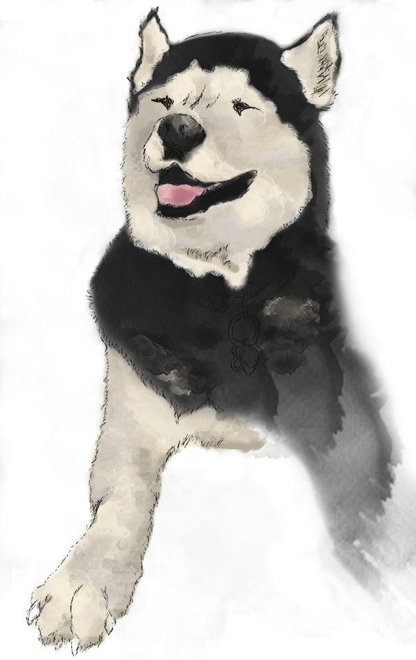 Digitally colored, pencil sketched, 2020