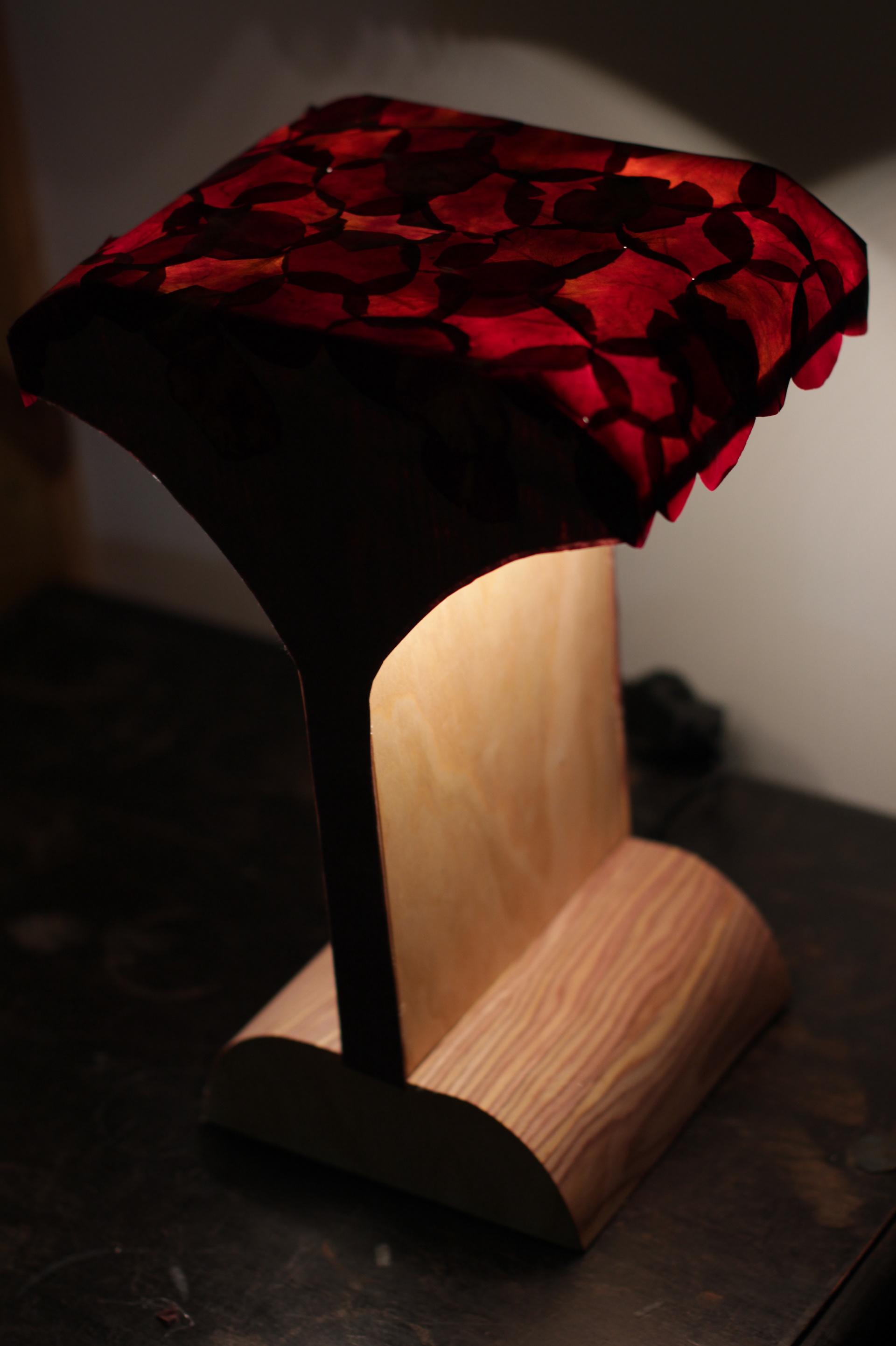 Wooden side - Double headed desk lamp