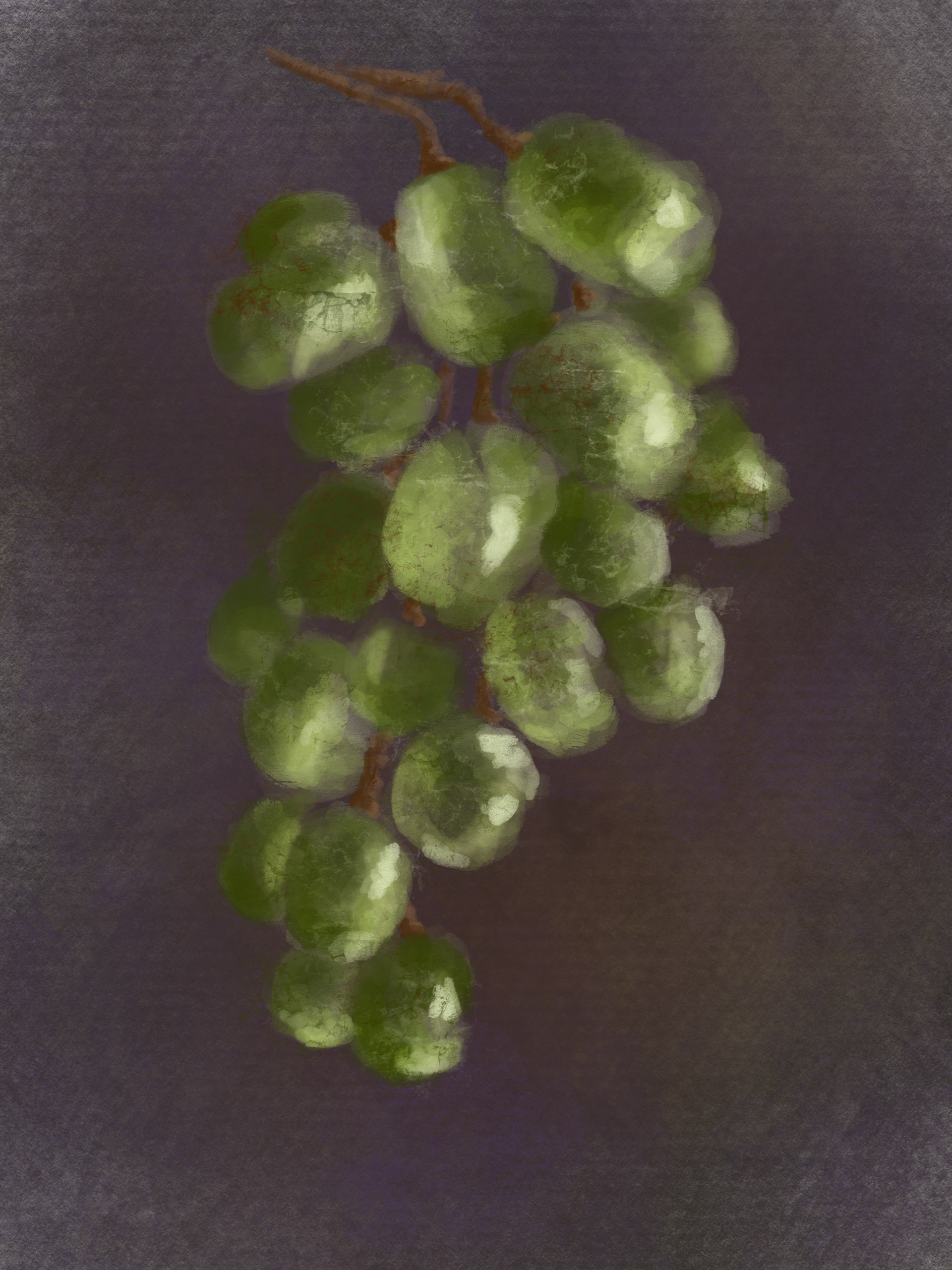 Digital guache still life, 2024