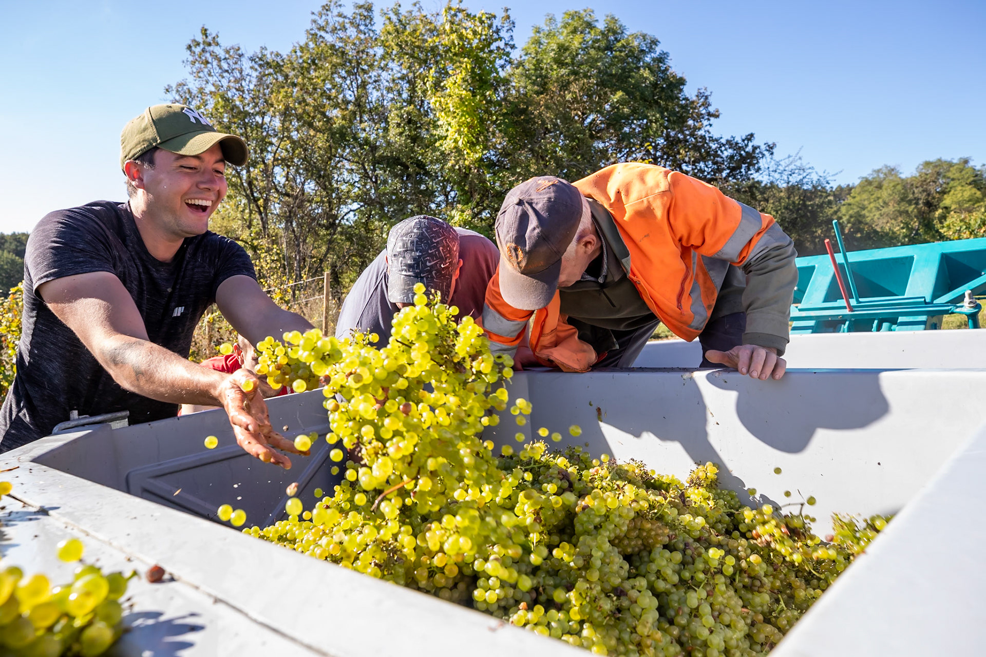 Domaine Denis Fouquerand - La Rochepot