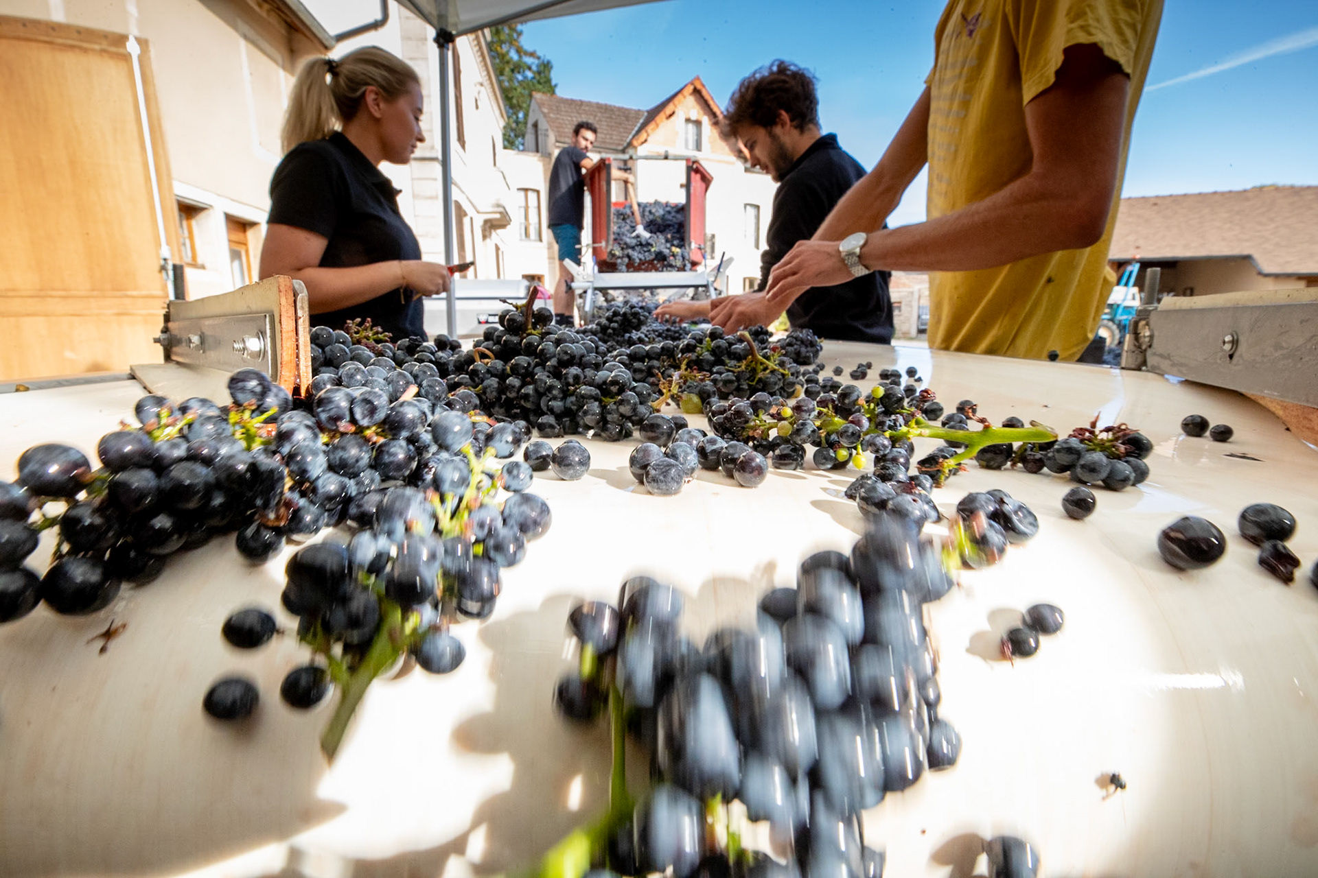 Domaine Barthod - Chambolle