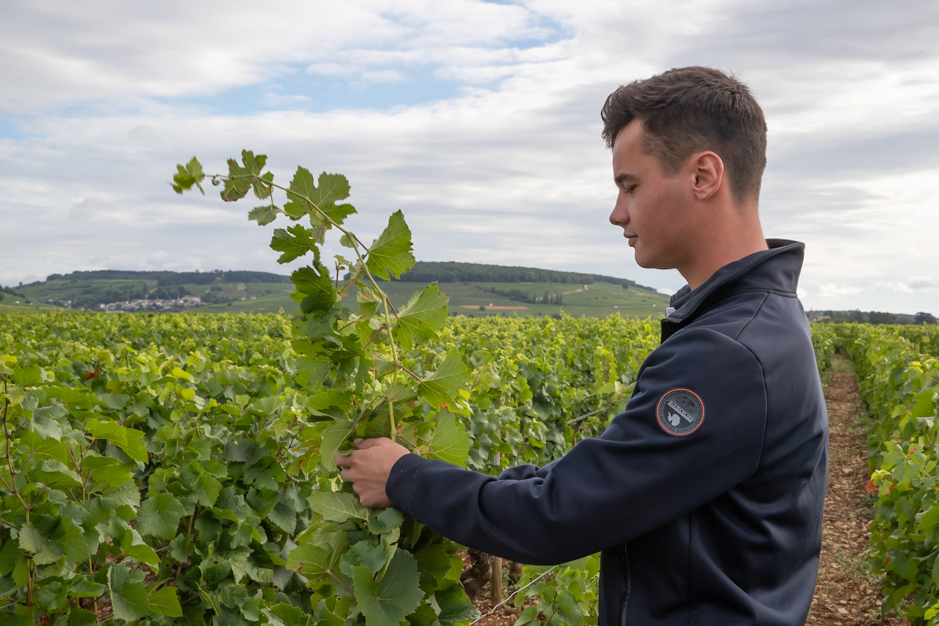 Domaine Arnoux - Gevrey
